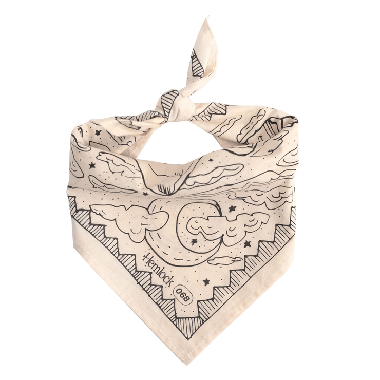 Desert Bandana